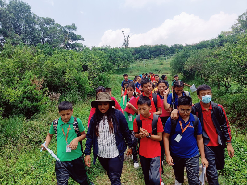 students are walking on field trip